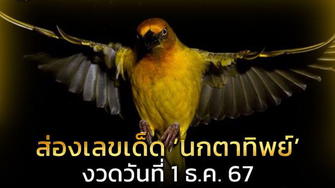 ส่อง เลขเด็ด ‘นกตาทิพย์ งวด 1 ธ.ค. 67