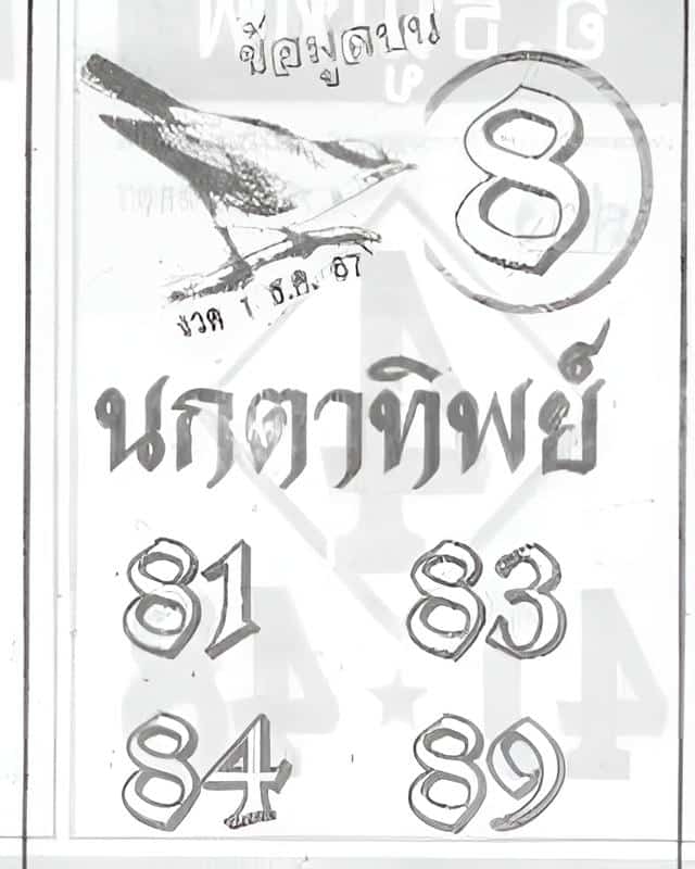 ส่อง เลขเด็ด ‘นกตาทิพย์ งวด 1 ธ.ค. 67